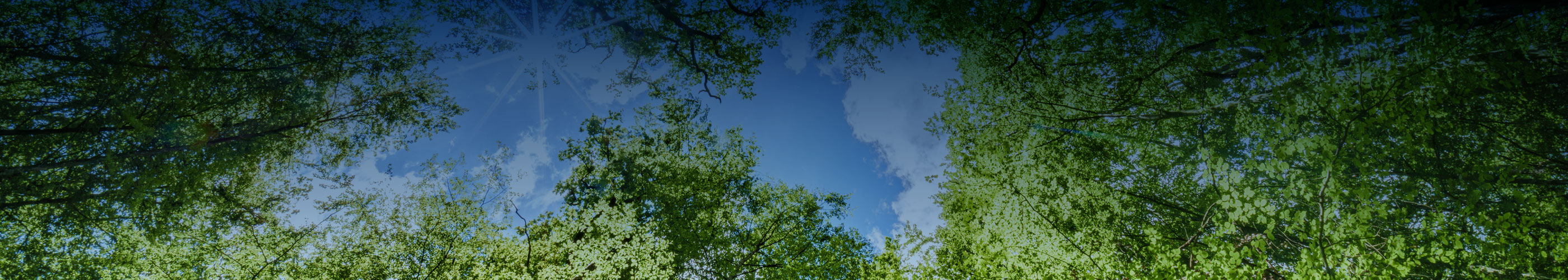 Environmental Sustainability